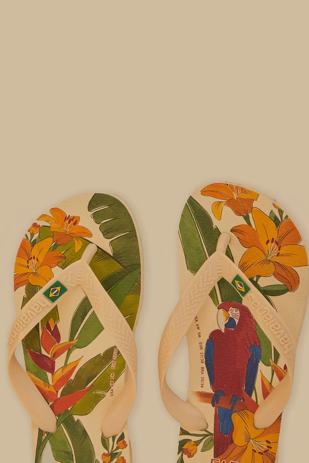 Farm Ararinhas Havaianas Sandals | FARM Rio Shop